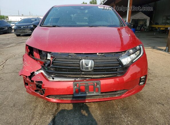 5FNRL6H71RB002213 2024 HONDA ODYSSEY Темно-бордовый Вид спереди
