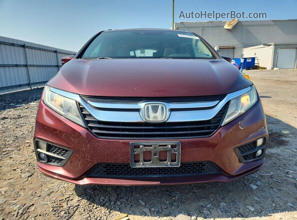 5FNRL6H72JB066667 2018 HONDA ODYSSEY Burgundy Front view