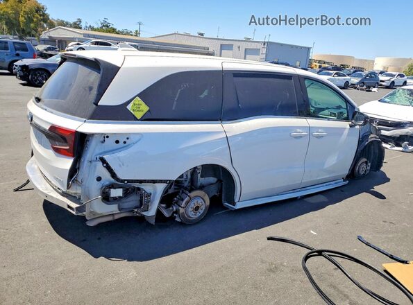 5FNRL6H72PB065009 2023 HONDA ODYSSEY White Задня права чверть