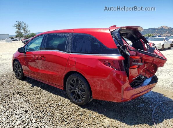 5FNRL6H72SB057825 2025 HONDA ODYSSEY Red Задня ліва чверть