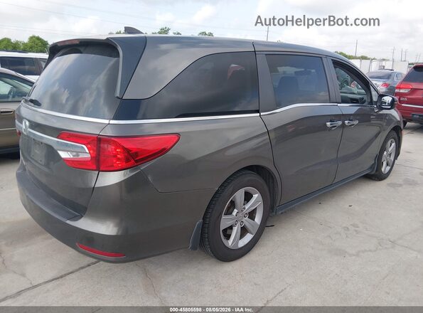5FNRL6H73KB108393 2019 HONDA ODYSSEY Gray უკანა მარჯვენა
