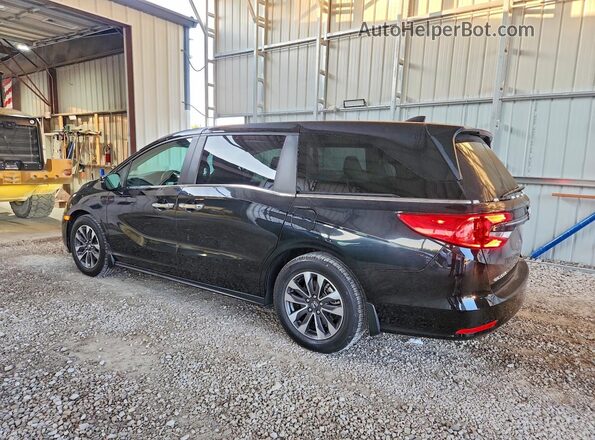 5FNRL6H73NB062262 2022 HONDA ODYSSEY Black Trasero izquierdo