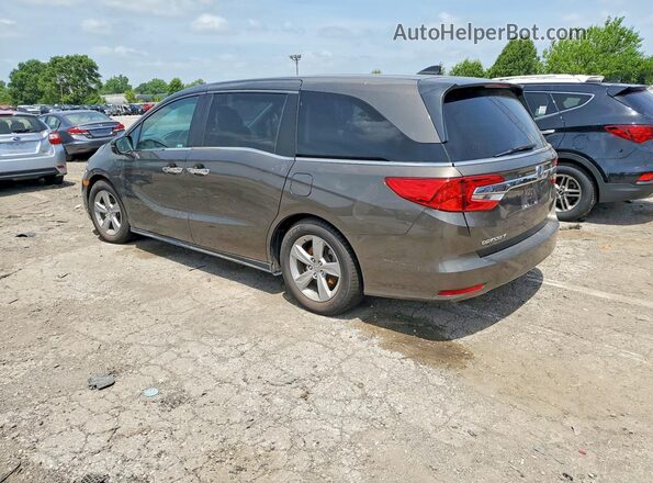 5FNRL6H74KB137126 2019 HONDA ODYSSEY Коричневый Задняя левая четверть