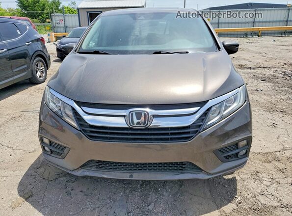 5FNRL6H74KB137126 2019 HONDA ODYSSEY Коричневый Вид спереди