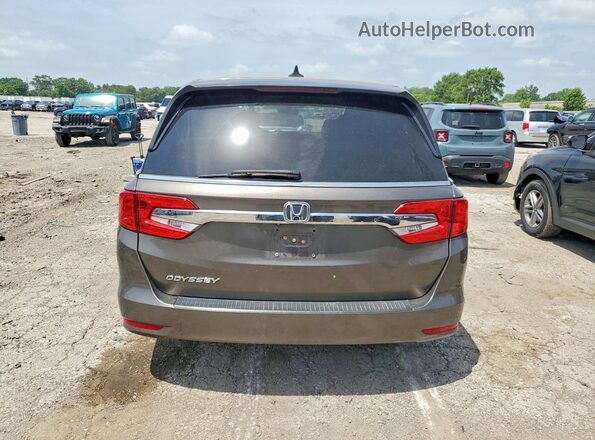 5FNRL6H74KB137126 2019 HONDA ODYSSEY Коричневый Вид сзади