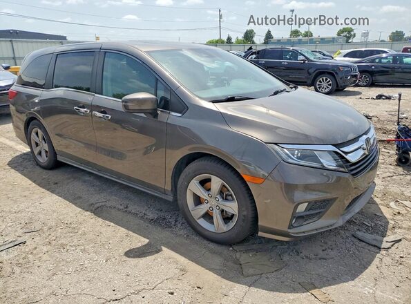 5FNRL6H74KB137126 2019 HONDA ODYSSEY Коричневый Передняя правая четверть