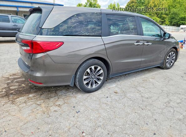 5FNRL6H74NB020473 2022 HONDA ODYSSEY Gray უკანა მარჯვენა