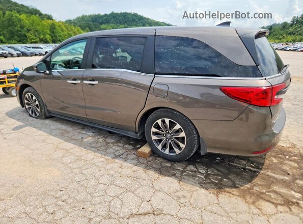 5FNRL6H74NB020473 2022 HONDA ODYSSEY Gray უკანა მარცხენა