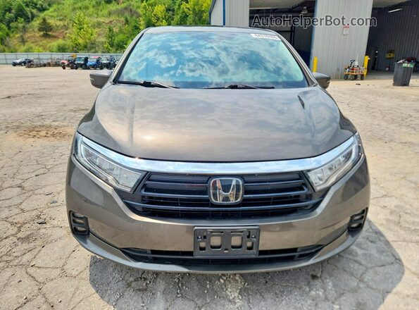 5FNRL6H74NB020473 2022 HONDA ODYSSEY Gray წინა ხედი
