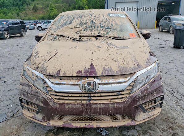 5FNRL6H75LB024318 2020 HONDA ODYSSEY Бордовый Вид спереди