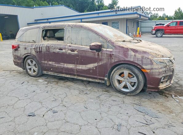 5FNRL6H75LB024318 2020 HONDA ODYSSEY Бордовый Передняя правая четверть