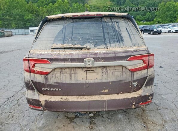 5FNRL6H75LB024318 2020 HONDA ODYSSEY Бордовый Вид сзади