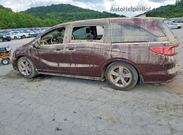 5FNRL6H75LB024318 2020 HONDA ODYSSEY Бордовый Задняя левая четверть