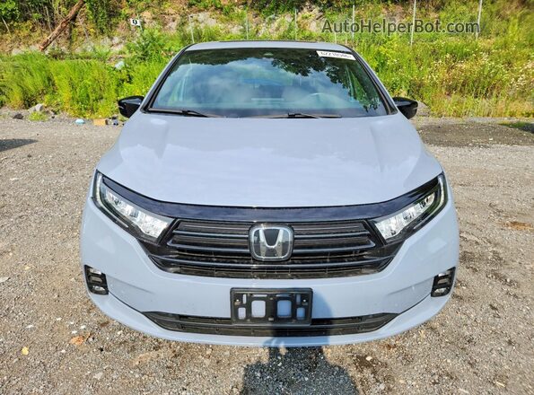 5FNRL6H75PB065876 2023 HONDA ODYSSEY Gray Դիմացի տեսք