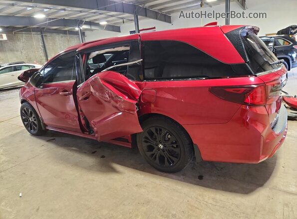 5FNRL6H75SB003483 2025 HONDA ODYSSEY Red Rear left