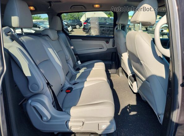 5FNRL6H76KB025332 2019 HONDA ODYSSEY Gray Вид задньої частини салону
