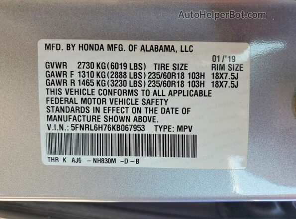 5FNRL6H76KB067953 2019 HONDA ODYSSEY Gray Vista de la etiqueta del VIN