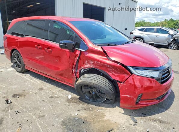 5FNRL6H76RB043825 2024 HONDA ODYSSEY Red Front right