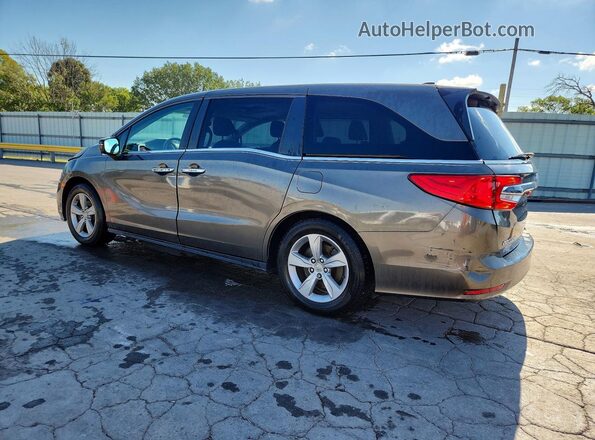 5FNRL6H77JB005668 2018 HONDA ODYSSEY Brown Задня ліва чверть