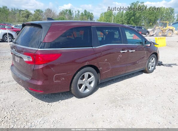 5FNRL6H77JB052246 2018 HONDA ODYSSEY Red Հետևի աջ