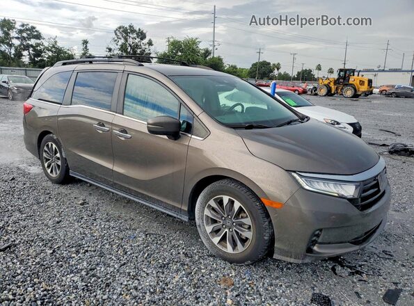 5FNRL6H77NB041348 2022 HONDA ODYSSEY Brown Առջևի աջ