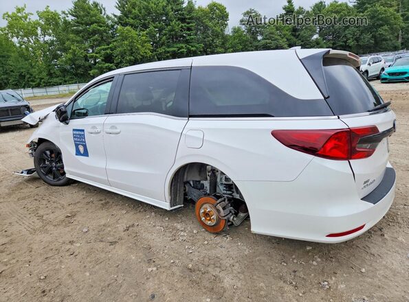 5FNRL6H77RB067826 2024 HONDA ODYSSEY White უკანა მარცხენა