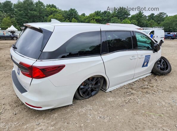 5FNRL6H77RB067826 2024 HONDA ODYSSEY White უკანა მარჯვენა