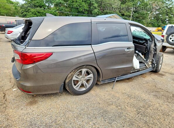 5FNRL6H78KB035926 2019 HONDA ODYSSEY Угольный Задняя правая четверть