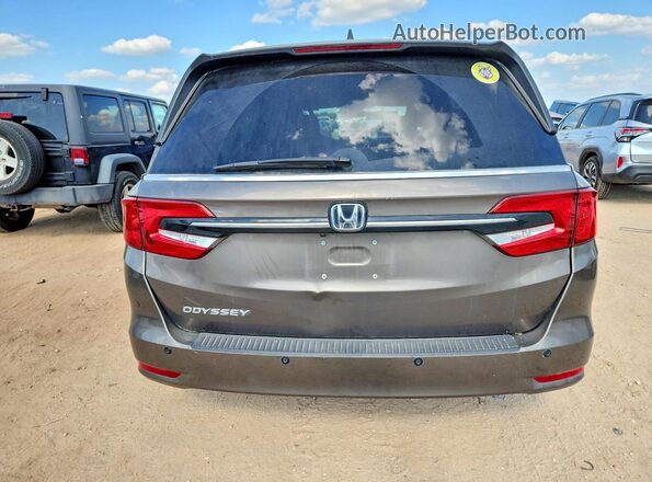 5FNRL6H78NB041097 2022 HONDA ODYSSEY Gray Вид ззаду