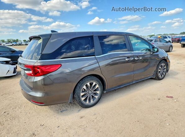 5FNRL6H78NB041097 2022 HONDA ODYSSEY Gray Задня права чверть