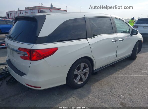 5FNRL6H79KB068031 2019 HONDA ODYSSEY White Tył prawy