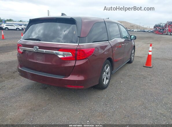 5FNRL6H79KB129698 2019 HONDA ODYSSEY Maroon Rear right