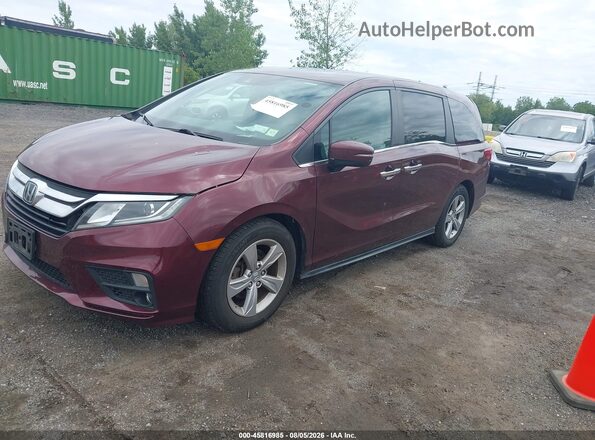 5FNRL6H79KB129698 2019 HONDA ODYSSEY Maroon Front left