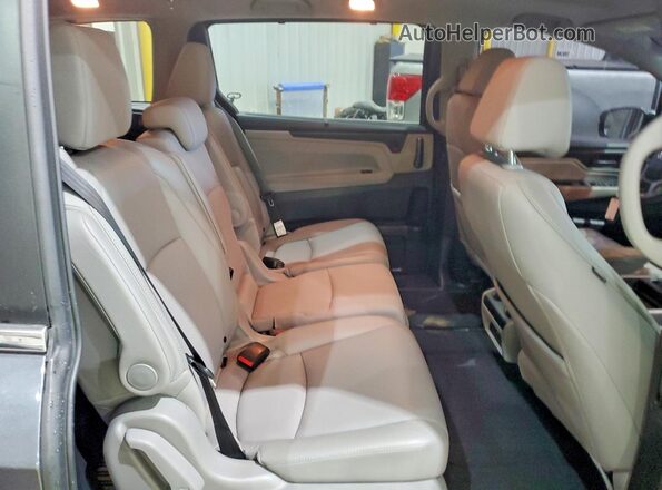 5FNRL6H7XLB049196 2020 HONDA ODYSSEY Gray Вид задньої частини салону