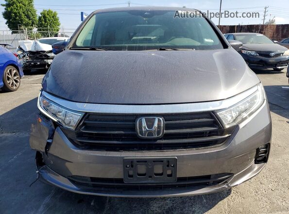 5FNRL6H80RB026527 2024 HONDA ODYSSEY Gray Front view
