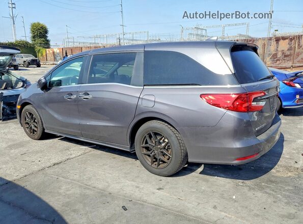 5FNRL6H80RB026527 2024 HONDA ODYSSEY Gray Rear left