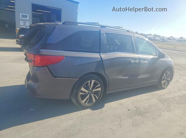 5FNRL6H81PB025853 2023 HONDA ODYSSEY Gray უკანა მარჯვენა