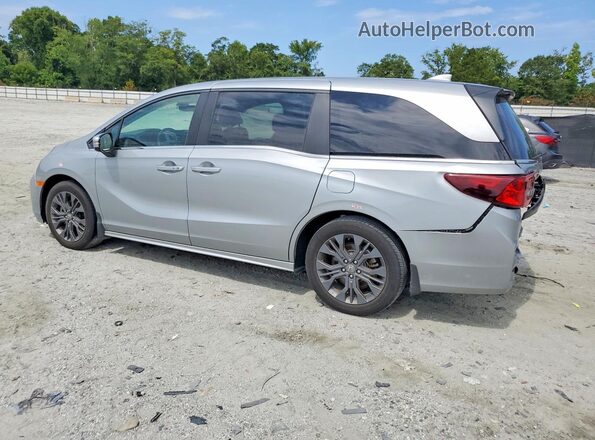 5FNRL6H81SB006387 2025 HONDA ODYSSEY Silver Tył lewy