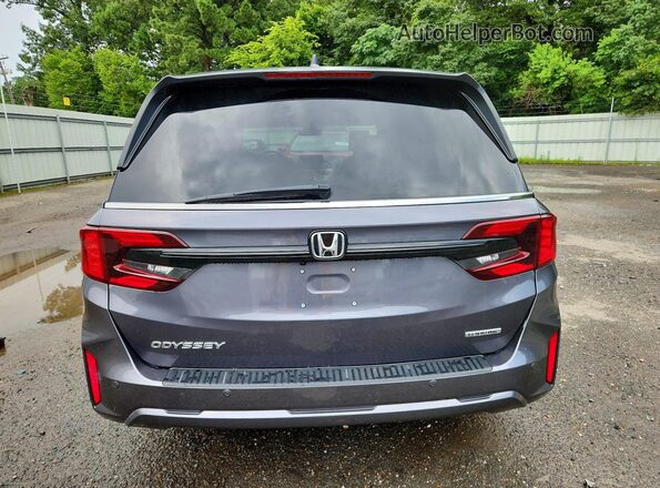 5FNRL6H84SB024351 2025 HONDA ODYSSEY Gray Widok z tyłu