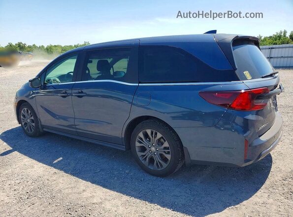 5FNRL6H89SB004323 2025 HONDA ODYSSEY Синий Задняя левая четверть