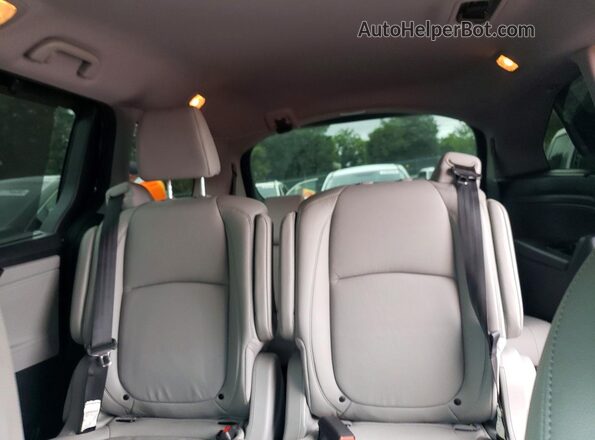 5FNRL6H8XKB118394 2019 HONDA ODYSSEY Синий Вид задних сидений