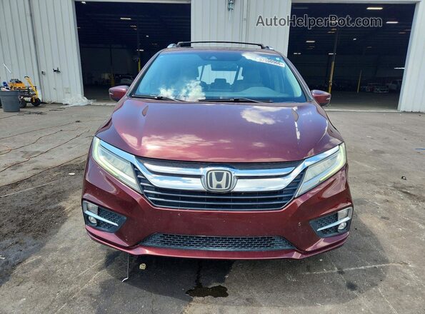 5FNRL6H92KB021411 2019 HONDA ODYSSEY Бордовый Вид спереди