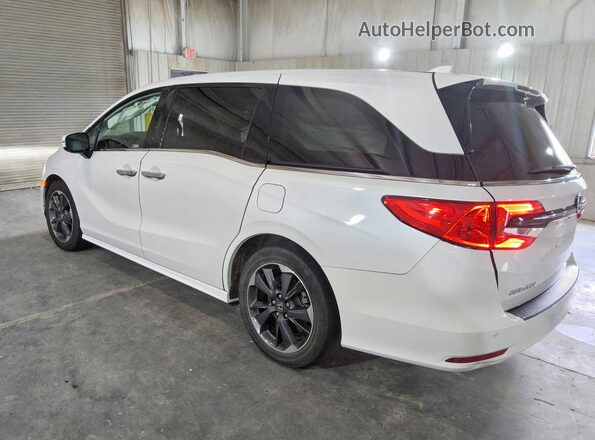 5FNRL6H98NB056510 2022 HONDA ODYSSEY White უკანა მარცხენა