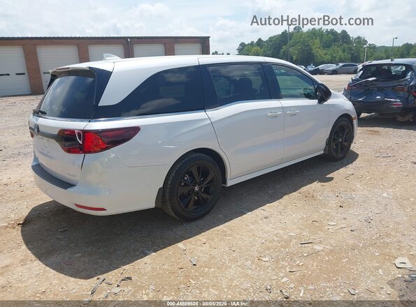 5FNRL6H98PB047194 2023 HONDA ODYSSEY White უკანა მარჯვენა