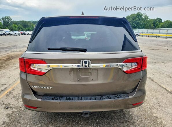 5FNRL6H9XLB008374 2020 HONDA ODYSSEY Gray Widok z tyłu