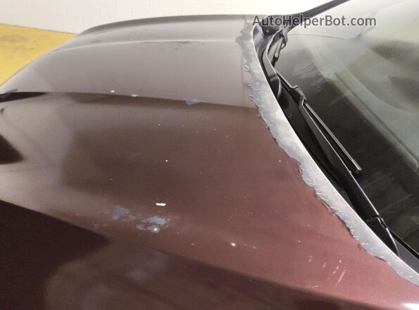 5FNYF5H60KB026898 2019 HONDA PILOT Burgundy 