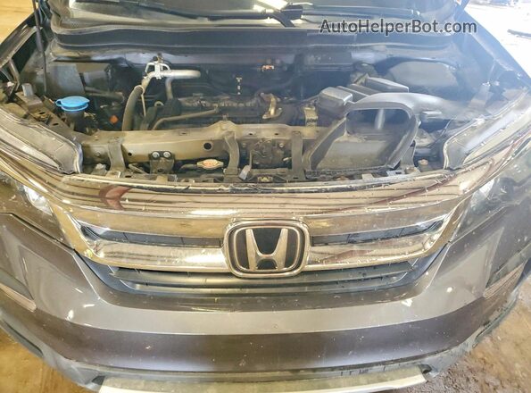 5FNYF6H52LB047248 2020 HONDA PILOT Серый Вид задней части салона