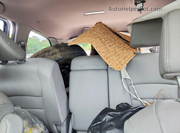 5FNYF6H53HB039697 2017 HONDA PILOT Синий Вид задних сидений