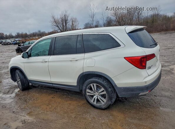 5FNYF6H57HB045552 2017 HONDA PILOT White უკანა მარცხენა