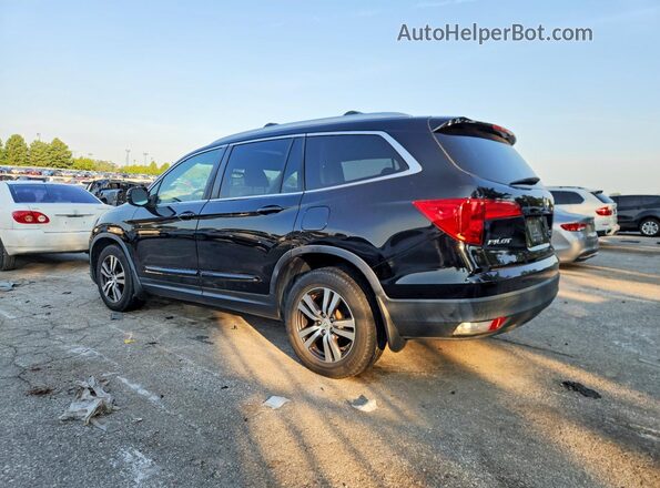 5FNYF6H58HB011748 2017 HONDA PILOT Black უკანა მარცხენა